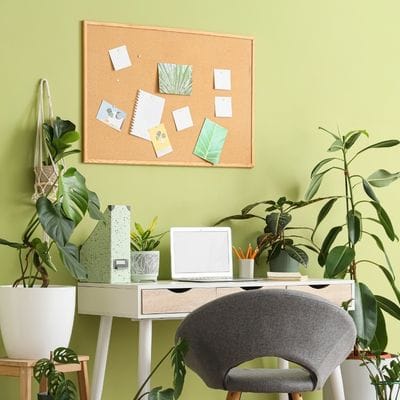 A white desk, green plant with a pinboard above to help create a home study space